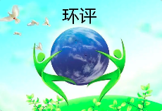 環(huán)境影響評(píng)價(jià)文件涉及弄虛作假等行為的，需要承擔(dān)哪些后果？